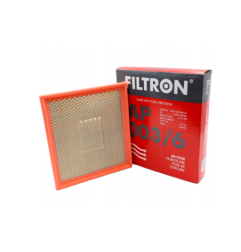 Filtr Powietrza Filtron AP003/6