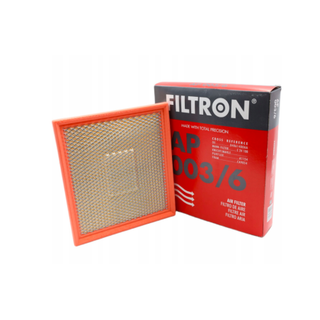 Filtr Powietrza Filtron AP003/6