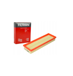 FILTRON FILTR POW. AP134/2 RENAULT AP 134/2