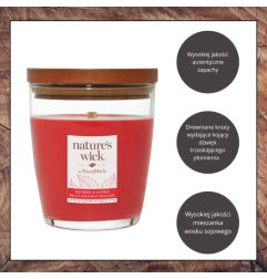 WoodWick Nature's Wick Redberry & Nutmeg Średnia Świeca 284g