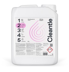 Cleantle Citrus Foam 5 l