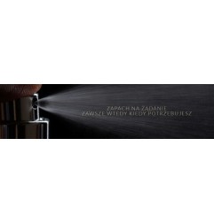 Perfumy do auta Fresso Magnetic Style 50ml słodki
