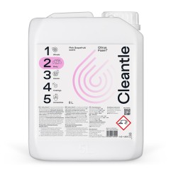 CLEANTLE CITRUS FOAM2 zasadowa piana aktywna 5l