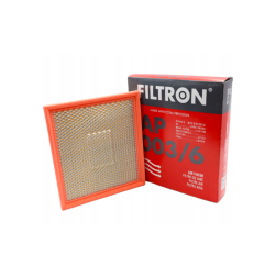 Filtr Powietrza Filtron AP003/6