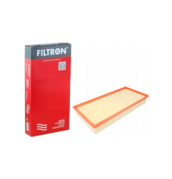 FILTR POWIETRZA FILTRON AP004/3