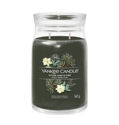 Yankee Candle Silver Sage Pine