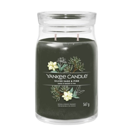 Yankee Candle Silver Sage Pine